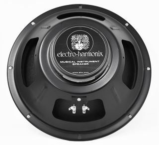 12TS-16 Speaker