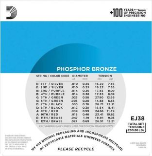 D'Addario EJ38 12-String Phosphor Bronze Light Acoustic 