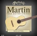 Martin Folk Silk & Steel