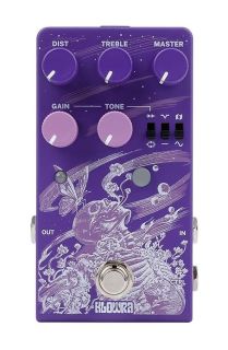 Gnash Distortion