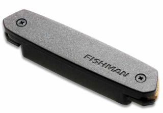 Neo-D magnetic soundhole pickup