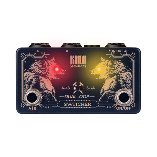 Dual Loop Switcher, Dual Loop Switching Pedal