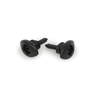 Planet Waves Solid Brass End Pins - Black (Pair)