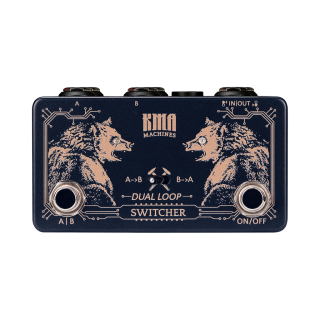 Dual Loop Switcher, Dual Loop Switching Pedal