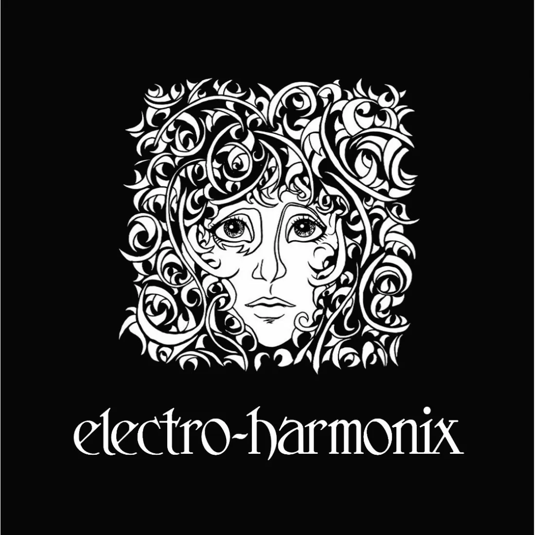 Electro Harmonix BIG MUFF's