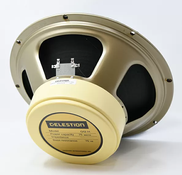 Celestion Creamback Speakers