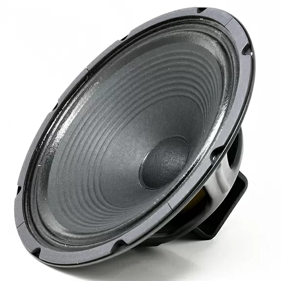 Jensen 12" Speakers