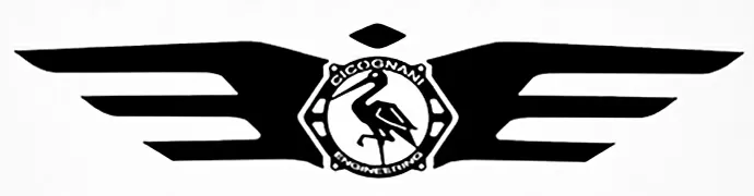 Cicognani Engineering