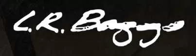 L.R. Baggs DI & Preamp Pedals