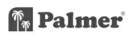 Palmer Power Supply