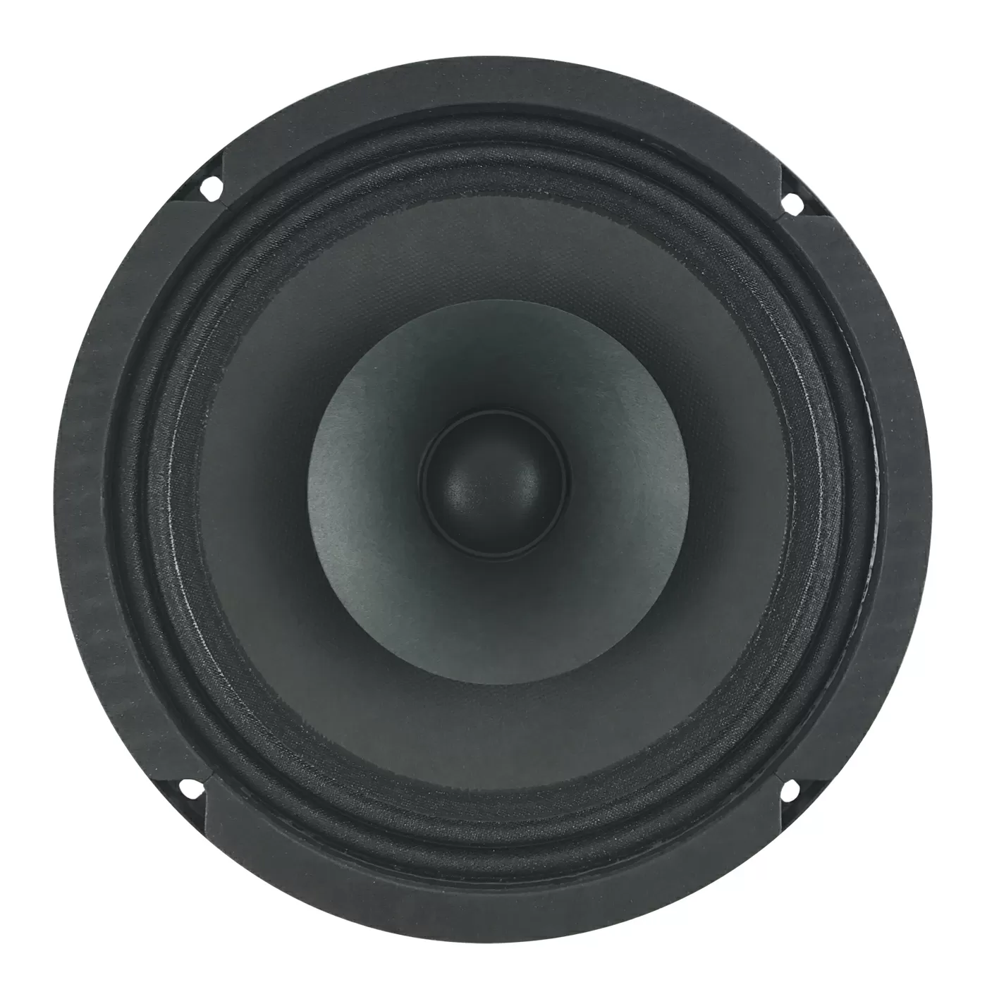 SICA 8" Speakers