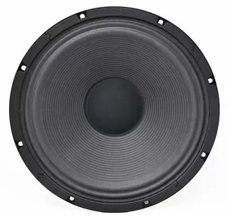 12TS-16 Speaker