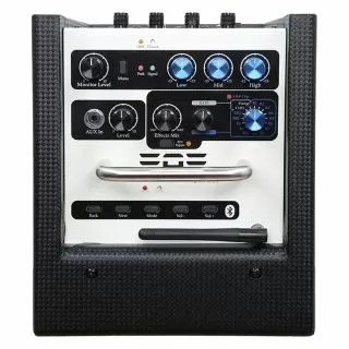 Elite Acoustics A1-4 Live Performance Studio Monitor