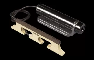 LR Baggs Banjo Pickup
