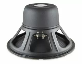 Jensen Blackbird JP12-100BB