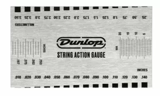 DGT04 System 65 Action Guage