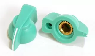 Chicken Head Knob with Brass Insert (Seafoam Green)