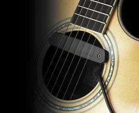 Neo-D magnetic soundhole pickup