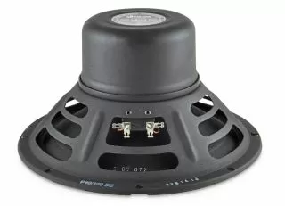 Blackbird Alnico Speaker, 10inch, 100W. 16ohms