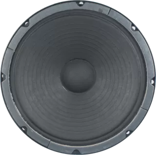 P10R-F Alnico Speaker