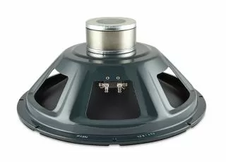 P15N Alnico Speaker 8ohms