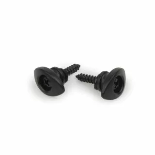 Planet Waves Solid Brass End Pins - Black (Pair)