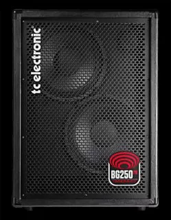 BG250-210 2x10 Bass Combo 