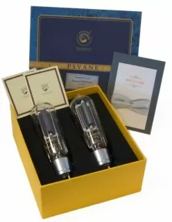 WE845 Xtreme Classic Series (Matched Pair)