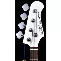 Bass Collection